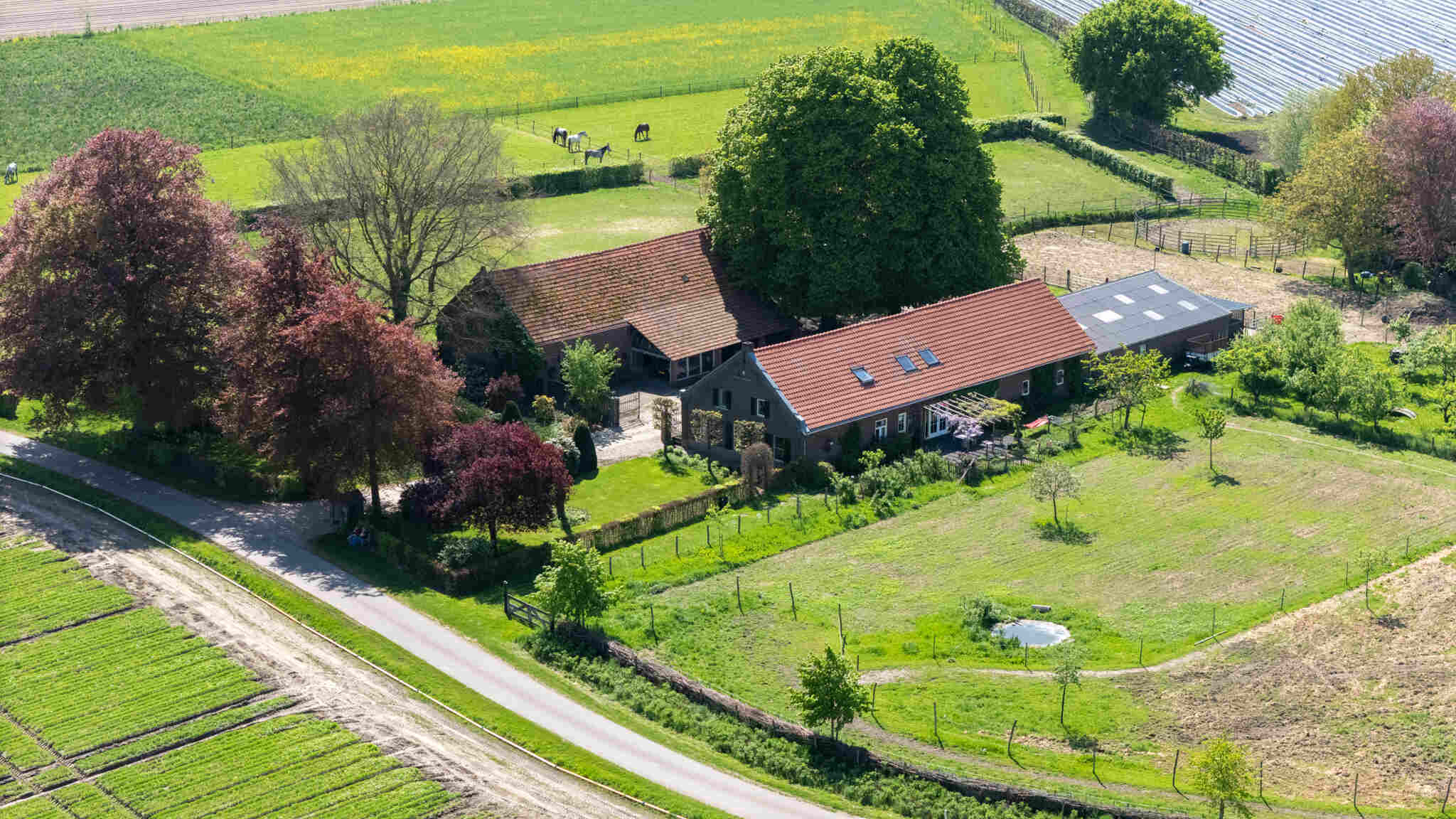 Landelijk wonen
Sfeervolle luchtbeelden van landelijke woningen, erven en buitengebieden vanuit een uniek perspectief.